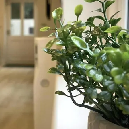 Apartment Moat View Free Parking, Central, Ev Plug York