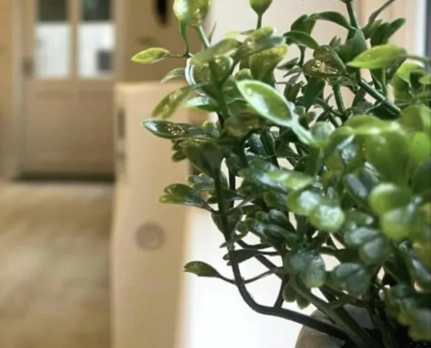 Appartement Moat View Free Parking, Central, Ev Plug York